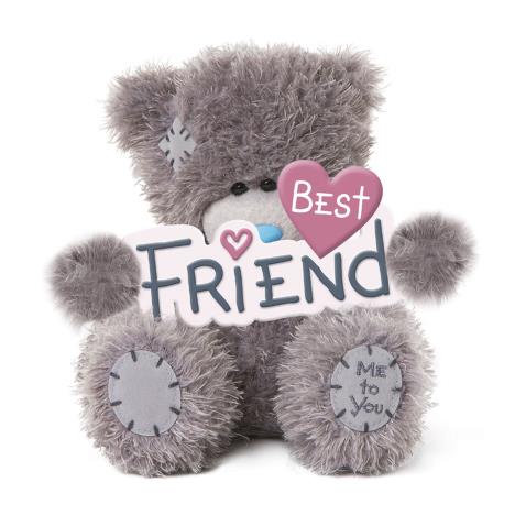 5" Holding Best Friend Banner Me to You Bear £7.99